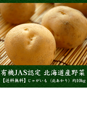 有機jas認定 北海道産 じゃがいも キタアカリ 約10kg 送料無料 産地直送 水広場